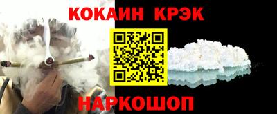 шишки Будённовск