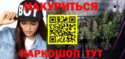 шишки Будённовск