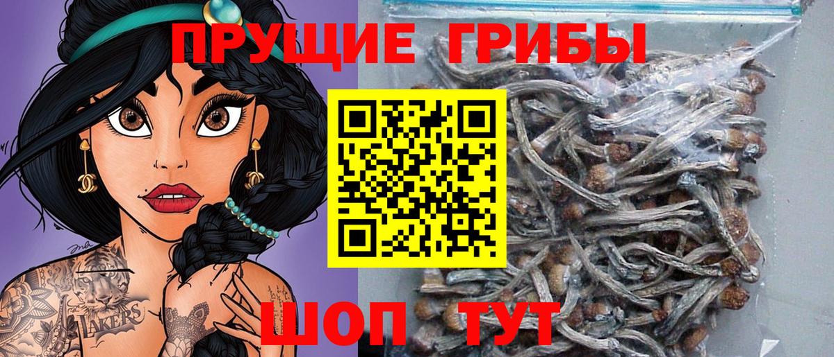 Галлюциногенные грибы прущие грибы Котовск