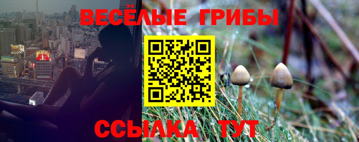 Псилоцибиновые грибы Cubensis  Вход с VPN  Псилоцибиновые грибы прущие грибы  что такое   Котовск 